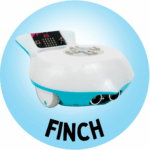 Finch