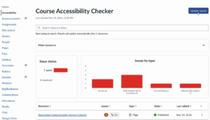 accessibility tool report