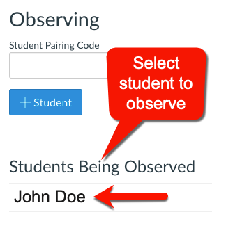 View the paired student